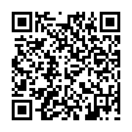 QR code for Z21234