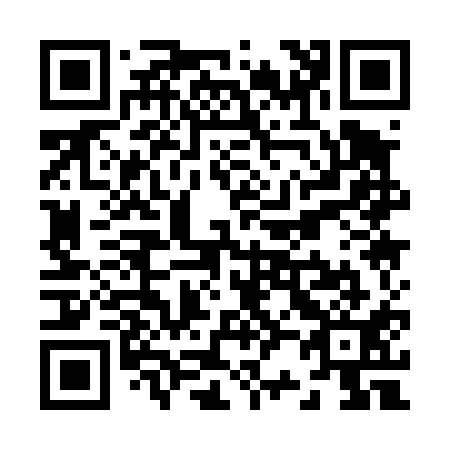 QR code for Z21411