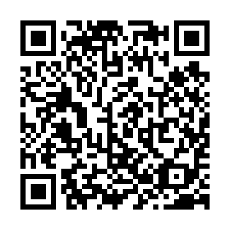 QR code for Z21699