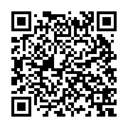 QR code for Z22228