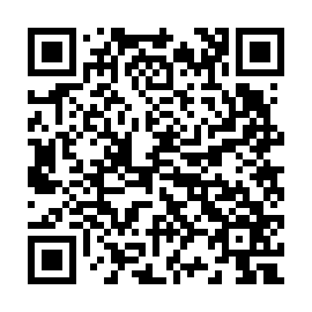 QR code for Z22666