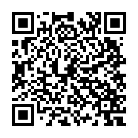 QR code for Z22667