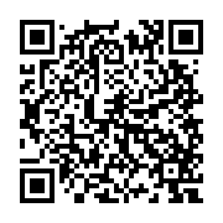 QR code for Z22787