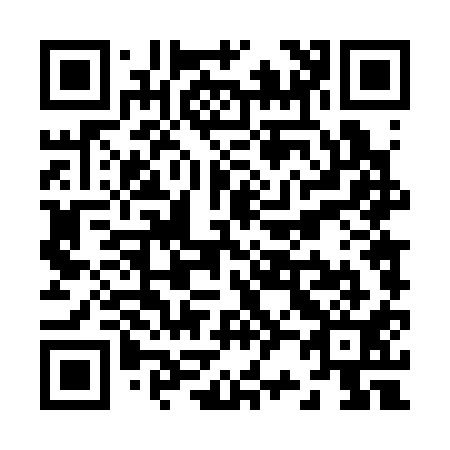 QR code for Z24311