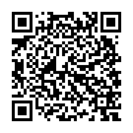 QR code for Z26668