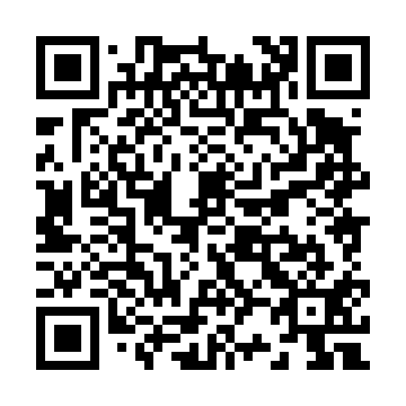 QR code for Z28411