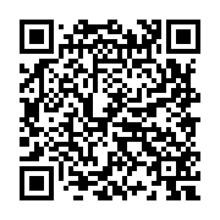 QR code for Z28952