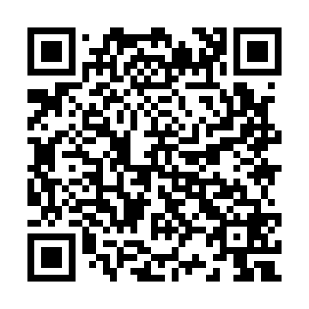 QR code for Z29168