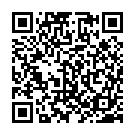 QR code for Z29173