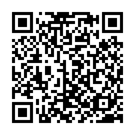 QR code for Z29221