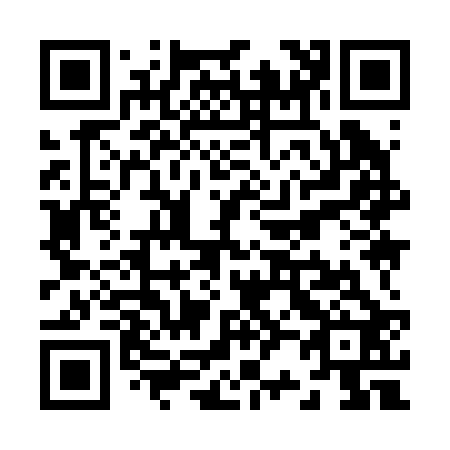 QR code for Z29222