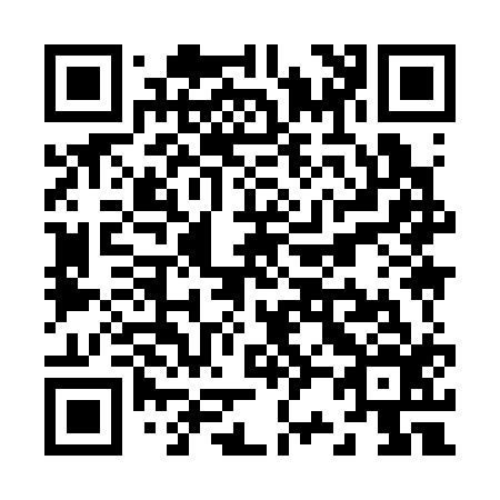 QR code for Z29316