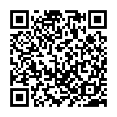 QR code for Z29351