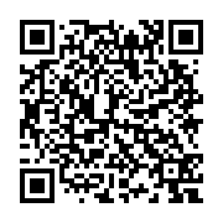 QR code for Z29732