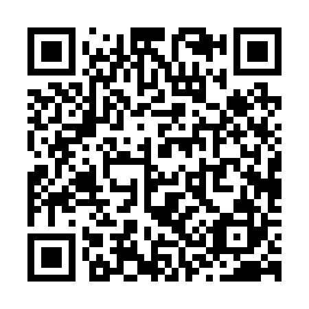 QR code for Z30222
