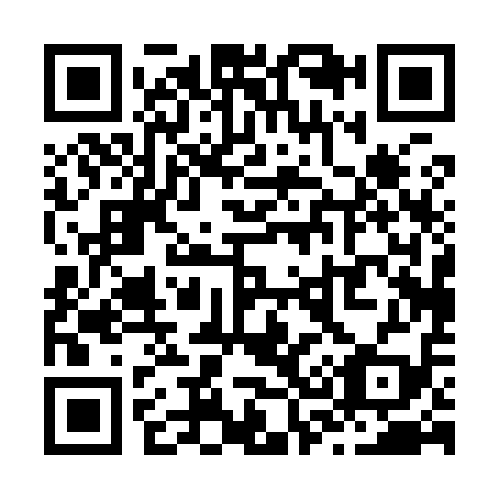 QR code for Z30919