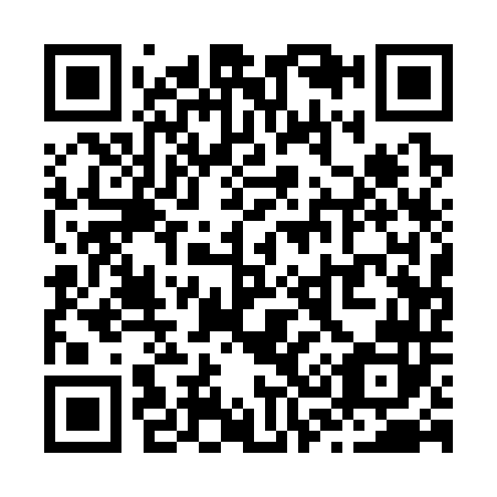 QR code for Z31342