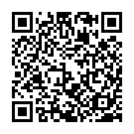 QR code for Z31511