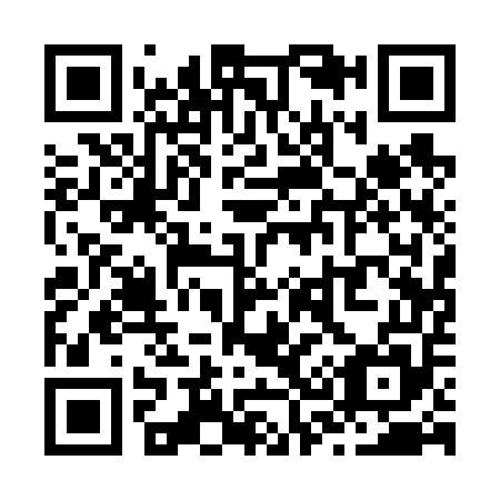 QR code for Z31655