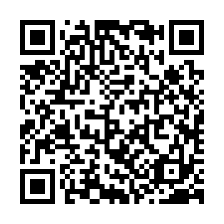 QR code for Z32333