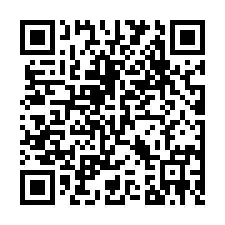 QR code for Z32595