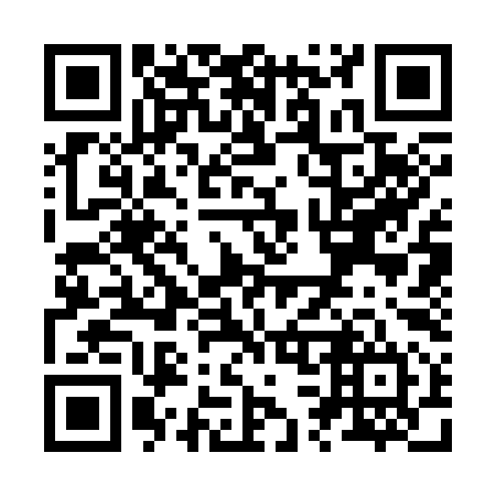 QR code for Z33394