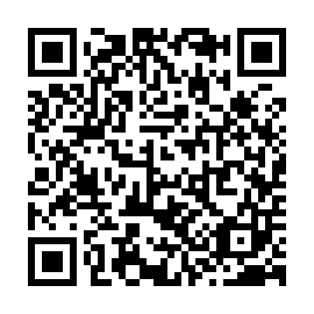 QR code for Z33903