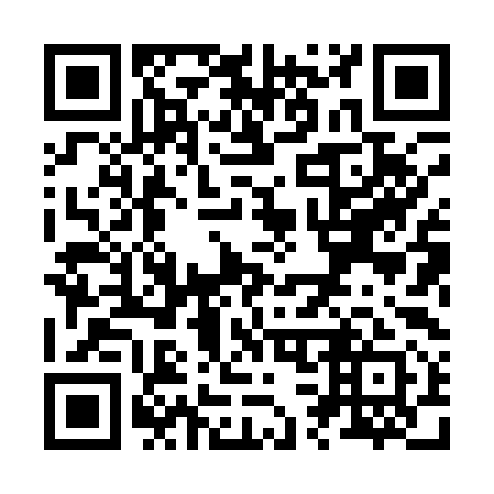 QR code for Z38191