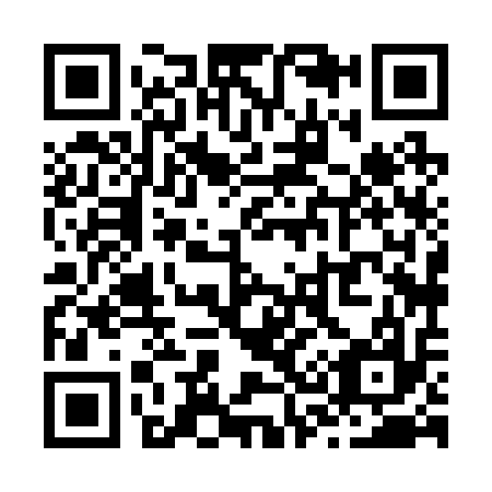 QR code for Z38217