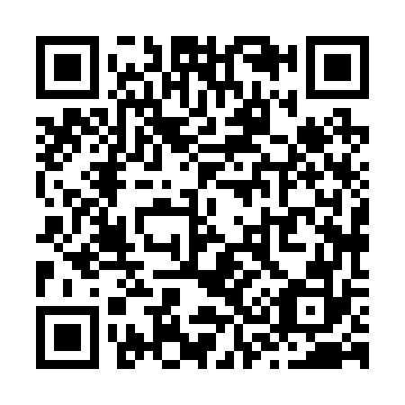 QR code for Z38272