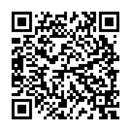 QR code for Z38398