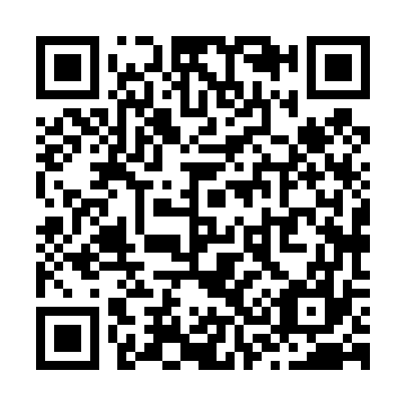 QR code for Z38477