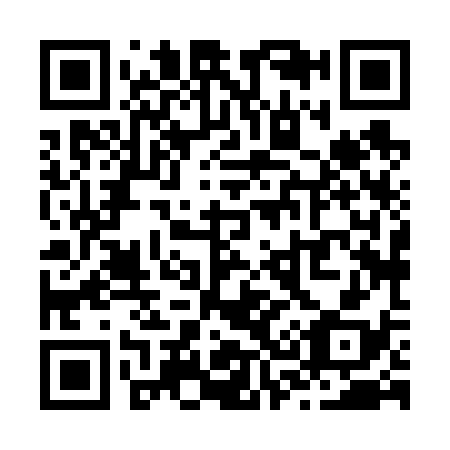 QR code for Z38638