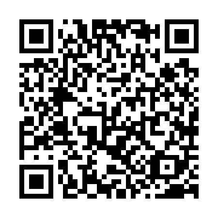 QR code for Z38709