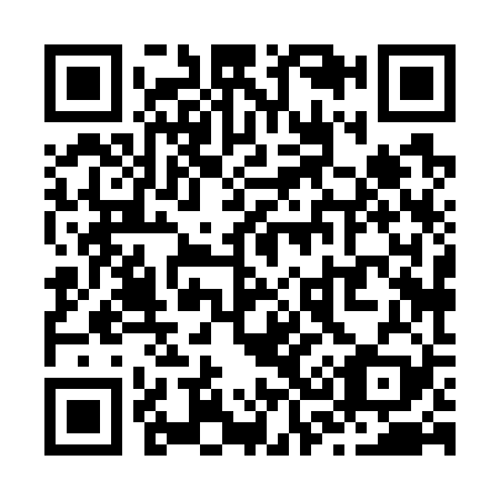 QR code for Z38729