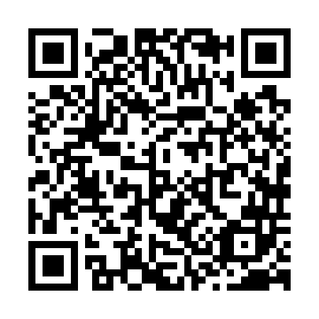 QR code for Z38742