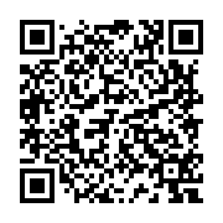QR code for Z38914