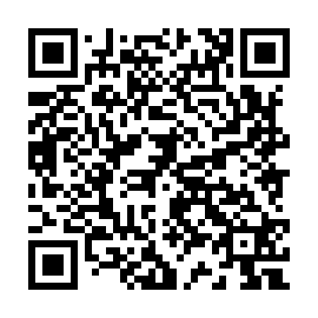 QR code for Z38920