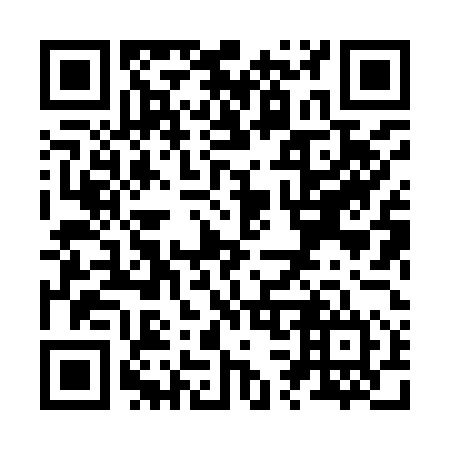 QR code for Z38954