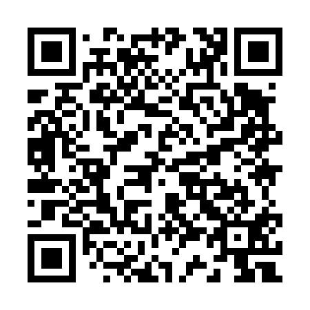 QR code for Z39411