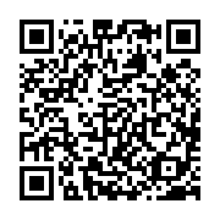 QR code for Z40599