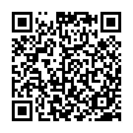 QR code for Z41007