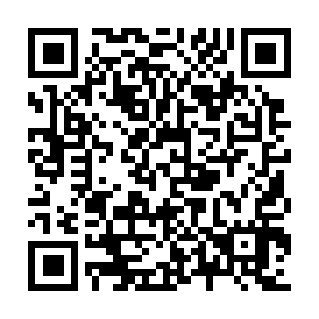 QR code for Z41317