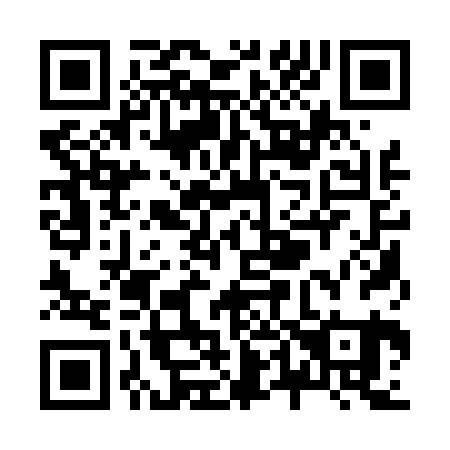 QR code for Z41421