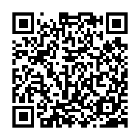 QR code for Z41655
