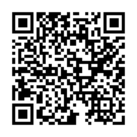 QR code for Z41981