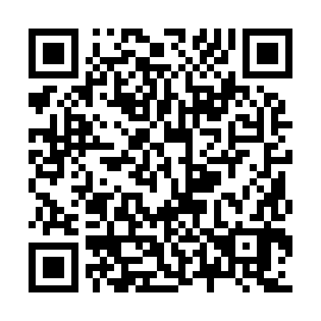 QR code for Z41982