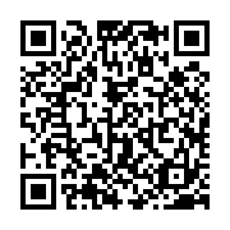QR code for Z42533