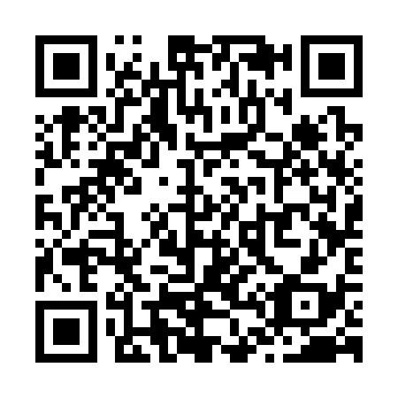 QR code for Z43338