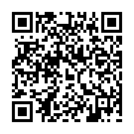 QR code for Z45290